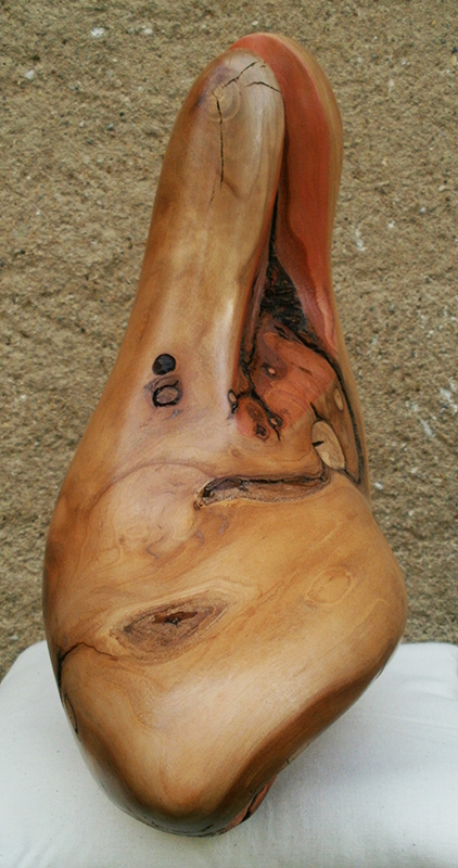 Picassos Seele4