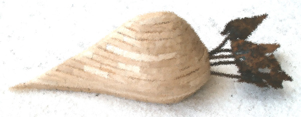 Entwurf Zuckerrbe
