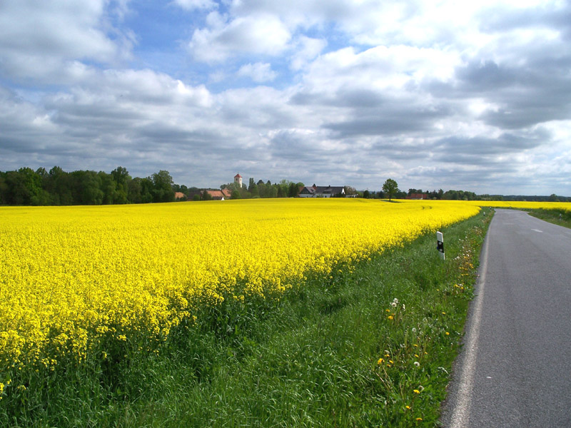 Landschaft Bautzen nach Cannewitz